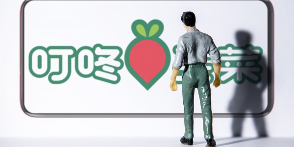 叮咚买菜再获融资，但生鲜电商行业路还很长（2）