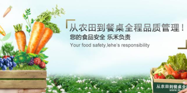 打造完整食材供应链，乐禾食品完成1亿元B轮融资