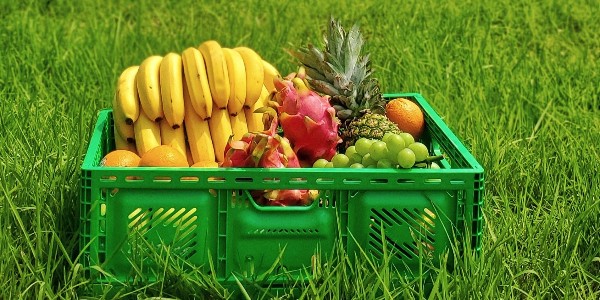 疫情促使移动互联网流量暴增，生鲜电商出现第二春（3）